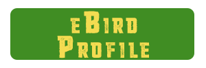 eBird Profile Button