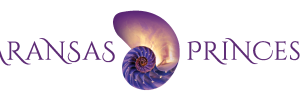 A purple logo reads "Aransas Princess." Between the two words is a purple and yellow sea shell.