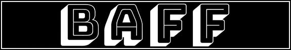 BAFF - Black Auteur Film Festival Logo