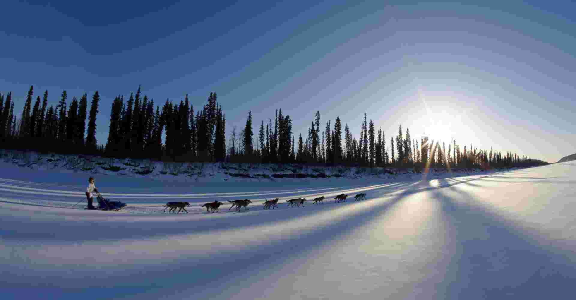 Midnight Sun Tracker  Explore Fairbanks Alaska
