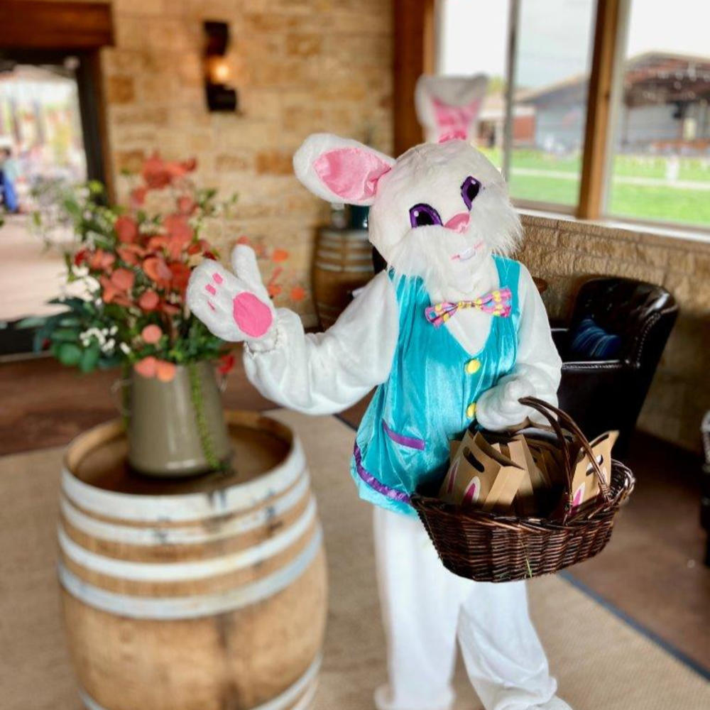 Where is the Easter Bunny Near Me? At Breakfast, Brunch, and Charming Photo  Ops!