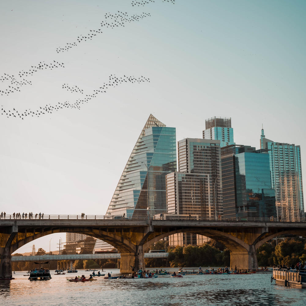 Austin Skyline with Bats at Lady Bird Lake