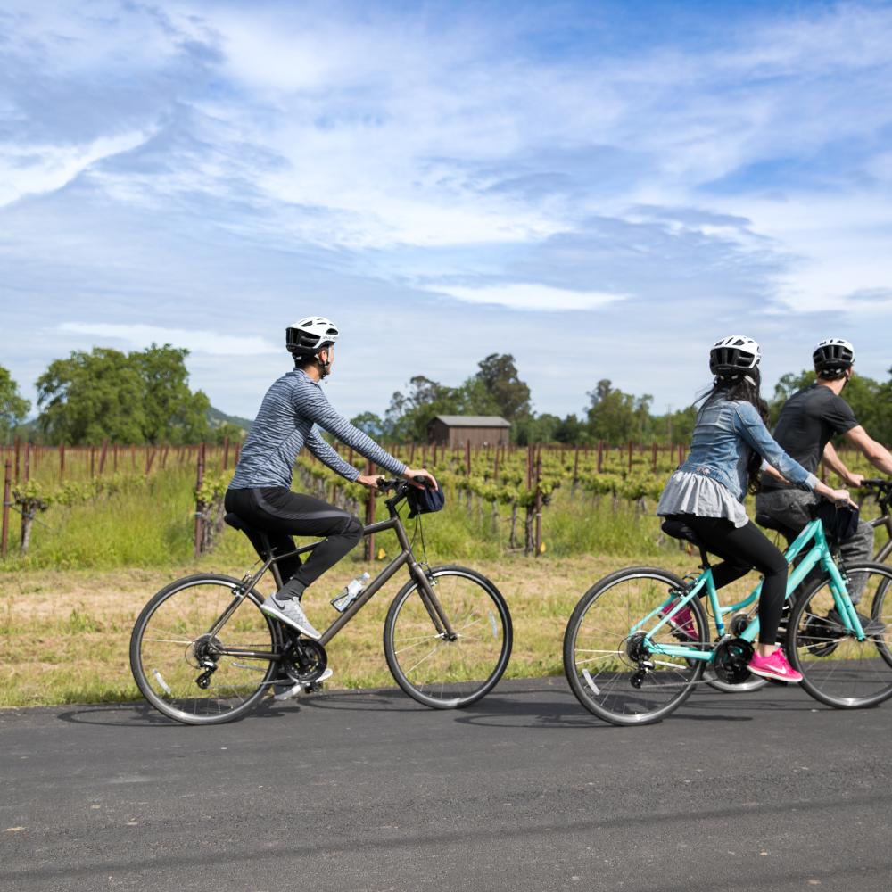 A small group enjoys the Napa Valley scenery as they ride their bicycles down a road.