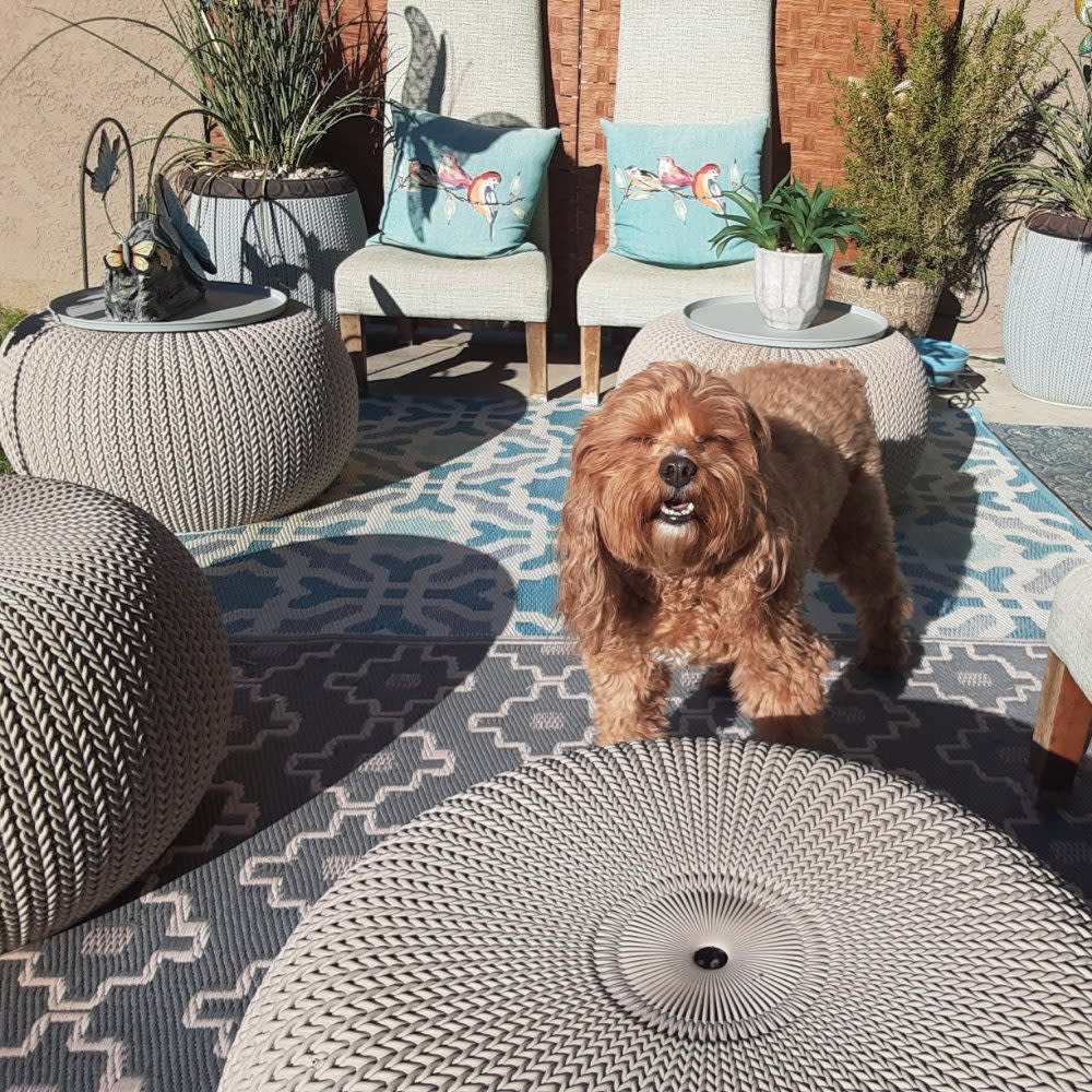Doggie Heaven Bed And Breakfast