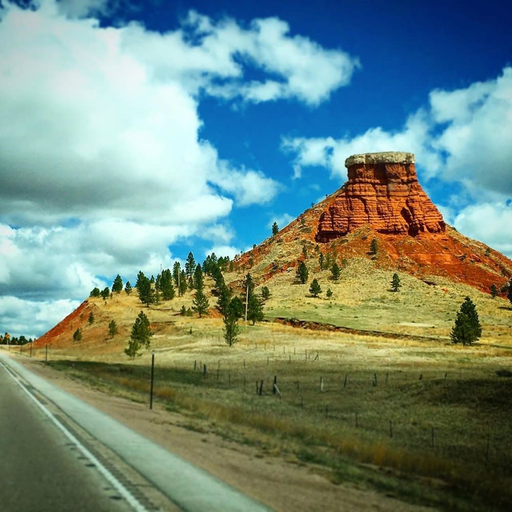 Evergreen trees before a bright mountain at the Black Hills Scenic Byway in Wyoming