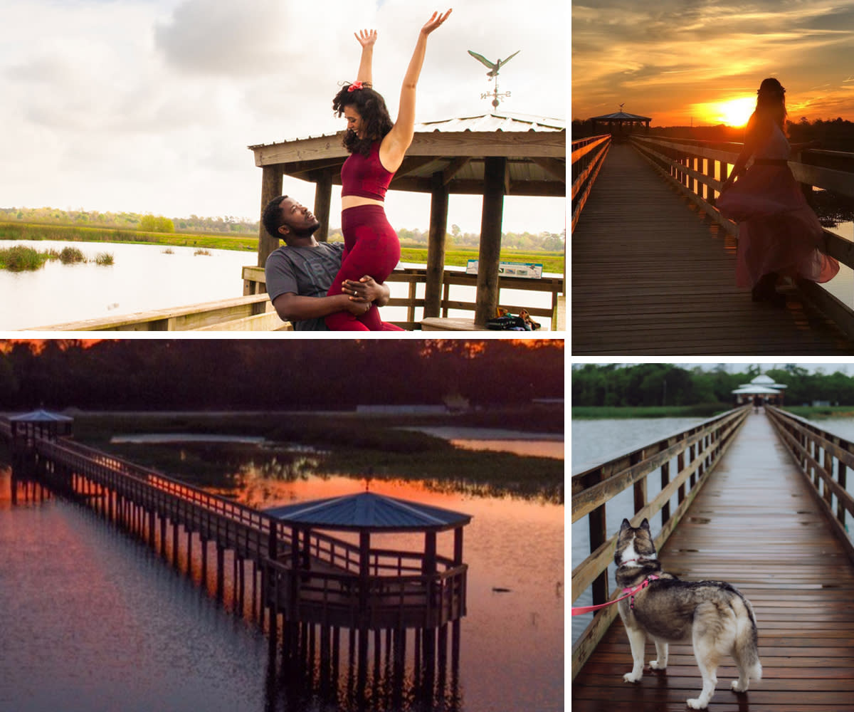 A collection of images showing off the boardwalk at Cattail Marsh in Beaumont, TX.