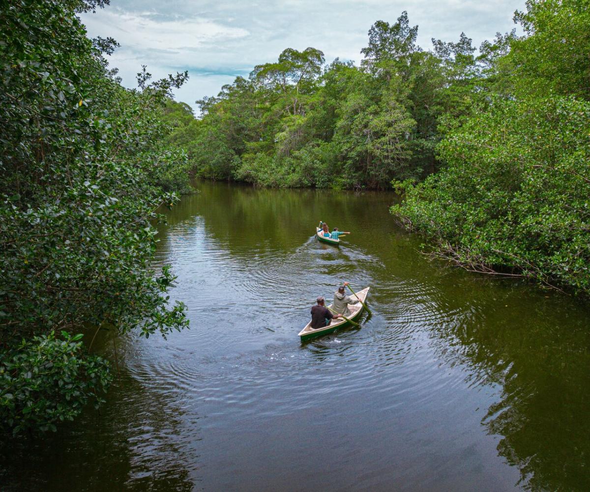 san-san-pond-sak-wetlands-changuinola-bocas-del-toro-province