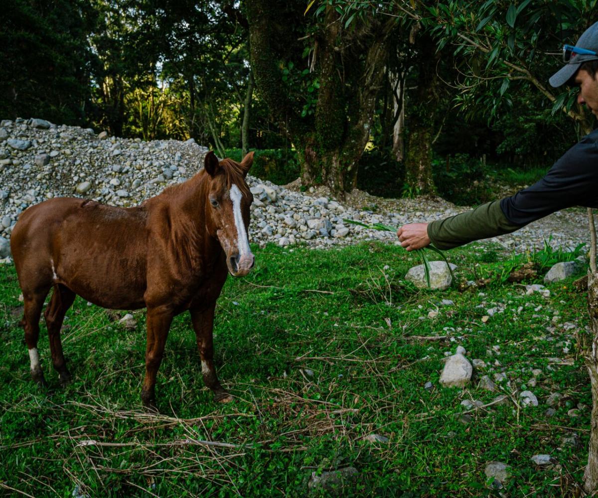 El Pianista Trail , Boquete