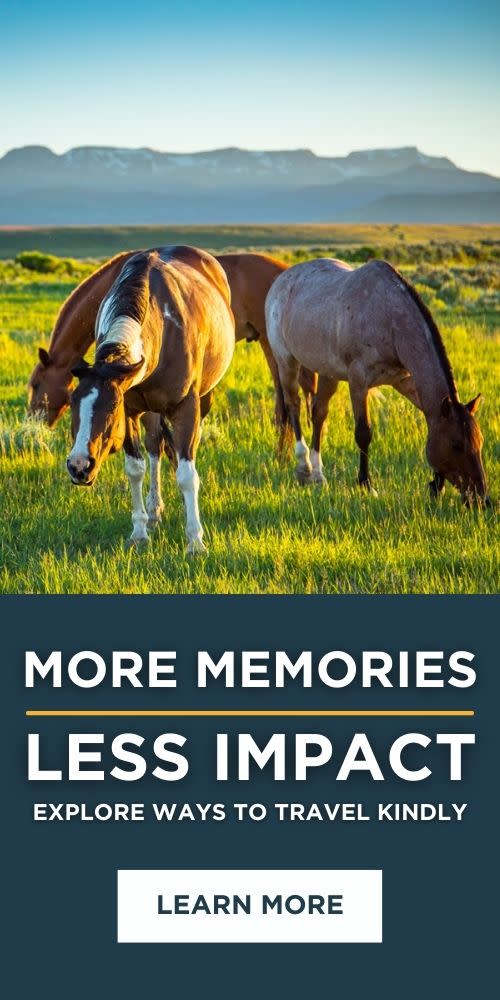More Memories / Less Impact