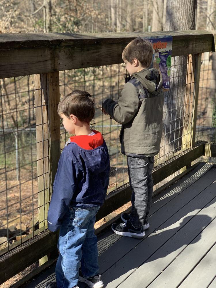 Bear's Hollow Zoo