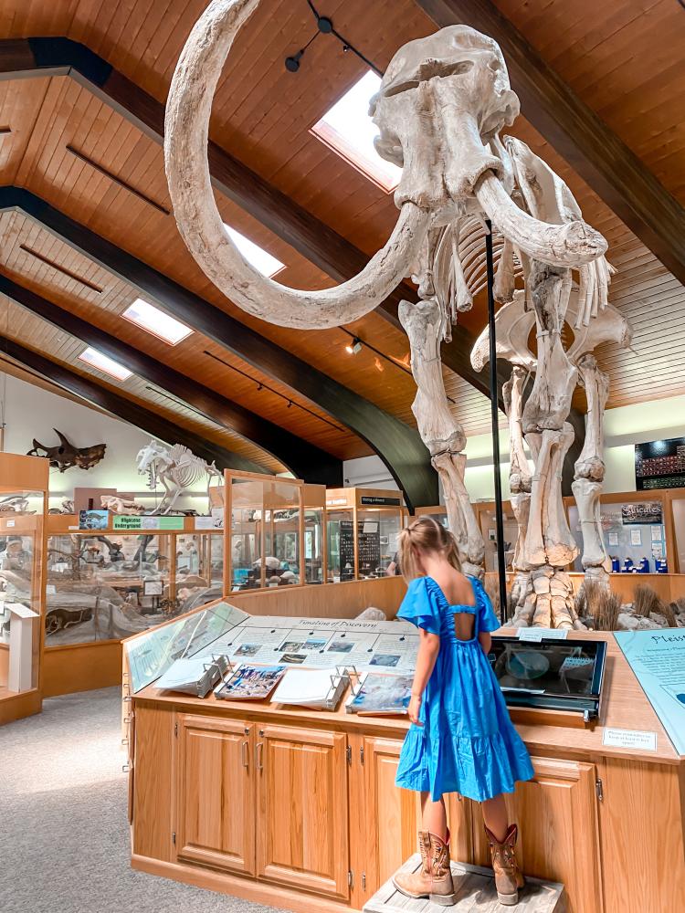 Dee Mammoth Tate Geological Museum Casper, WY