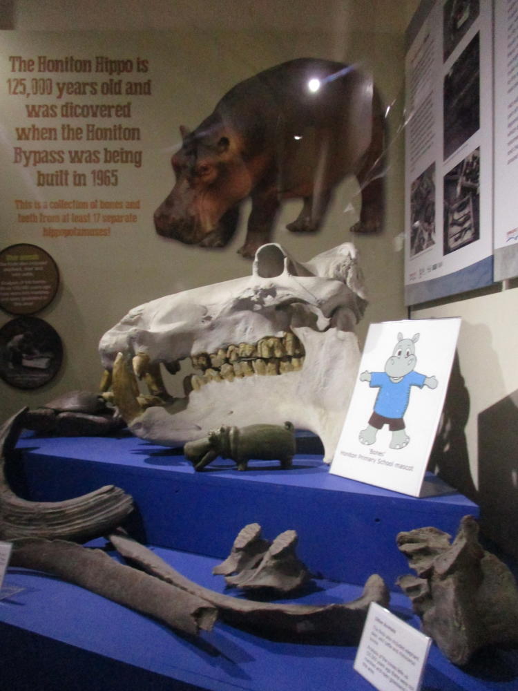 Have you heard of the Honiton Hippo?