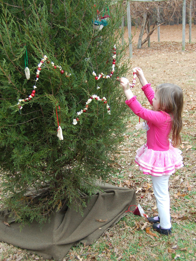 Bentonville Battlefield Christmas Event, Four Oaks, NC.