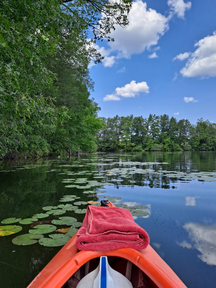 An orange kayak is centered in the photo on the lake located within Fort Custer State Recreation Area. Morrow Lake also has many green lily pads in the water.