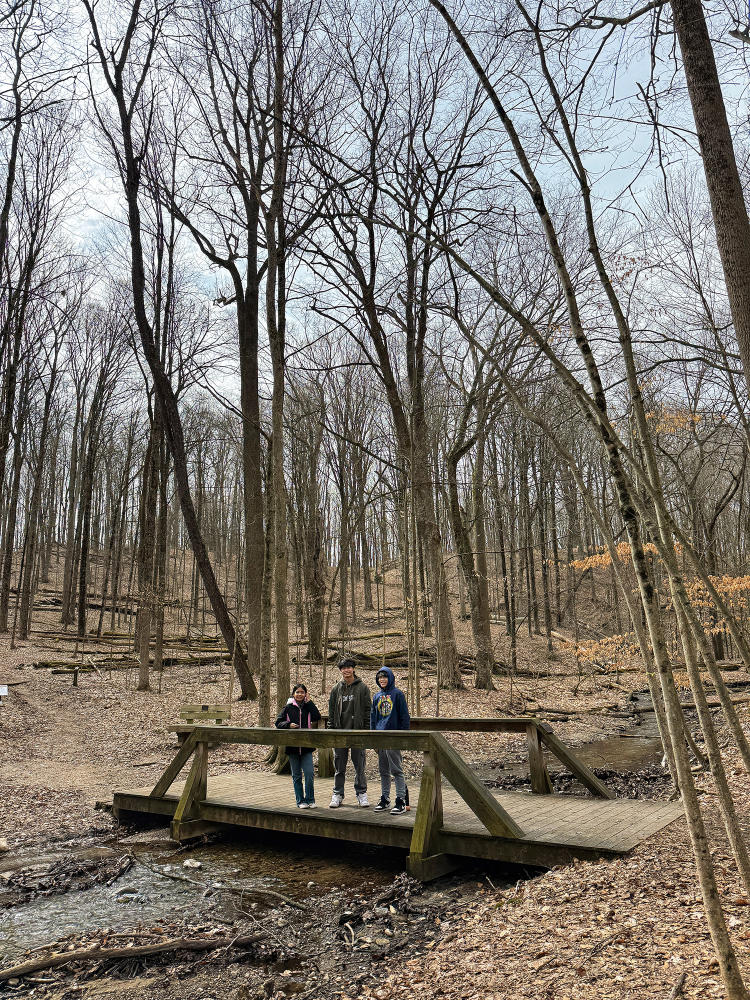 Three kids stand on a bridge over a small creek in the woods at the Kalamazoo Nature Center