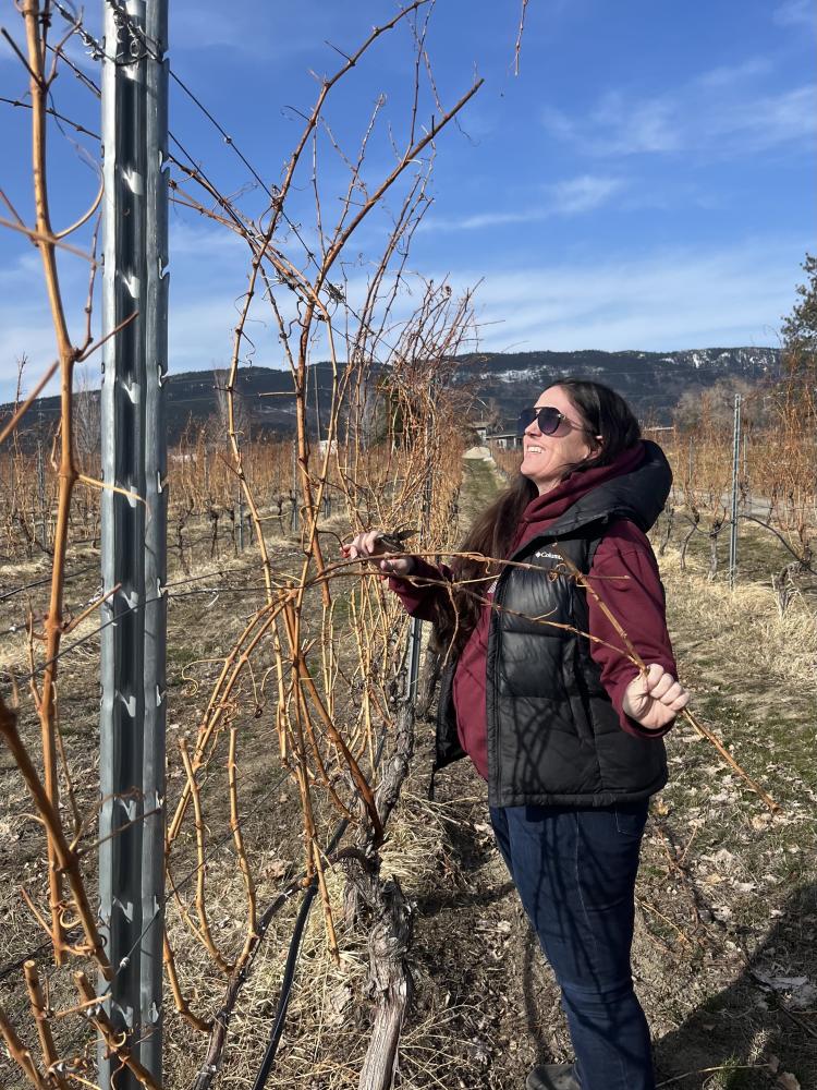 Sheri Paynter looking at the vines