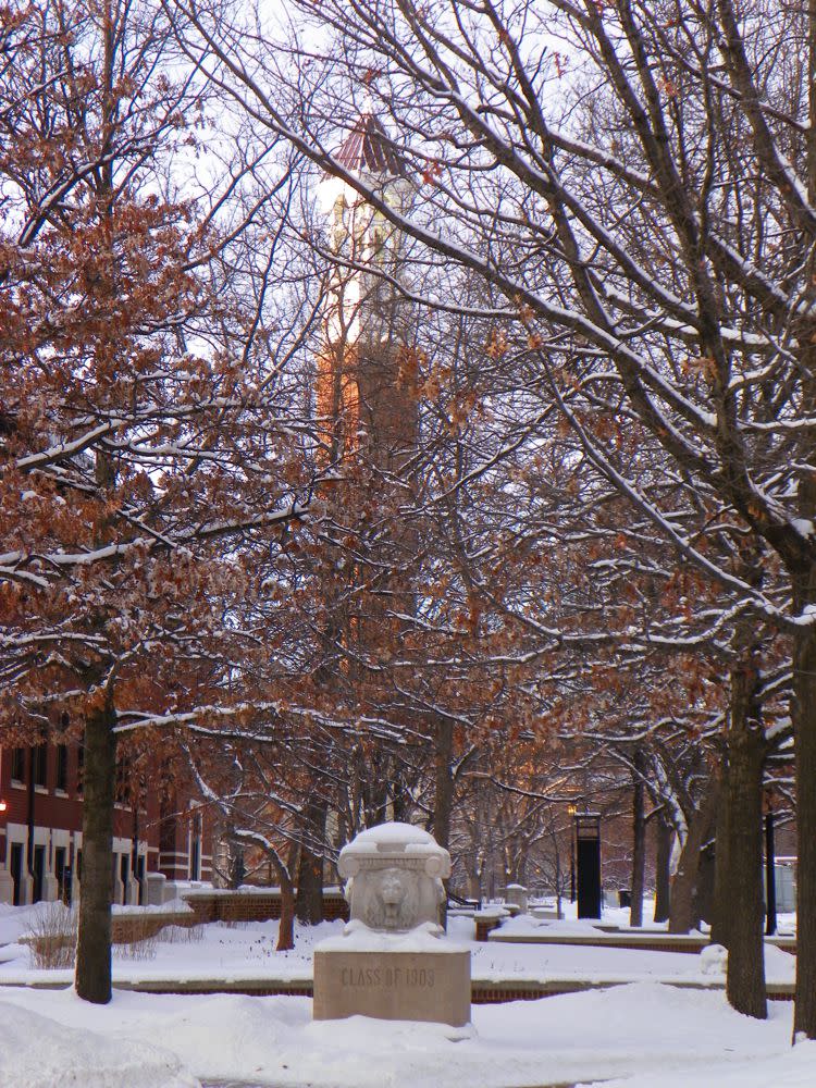 Winter-Bell-Tower-Brittania-Cassiday