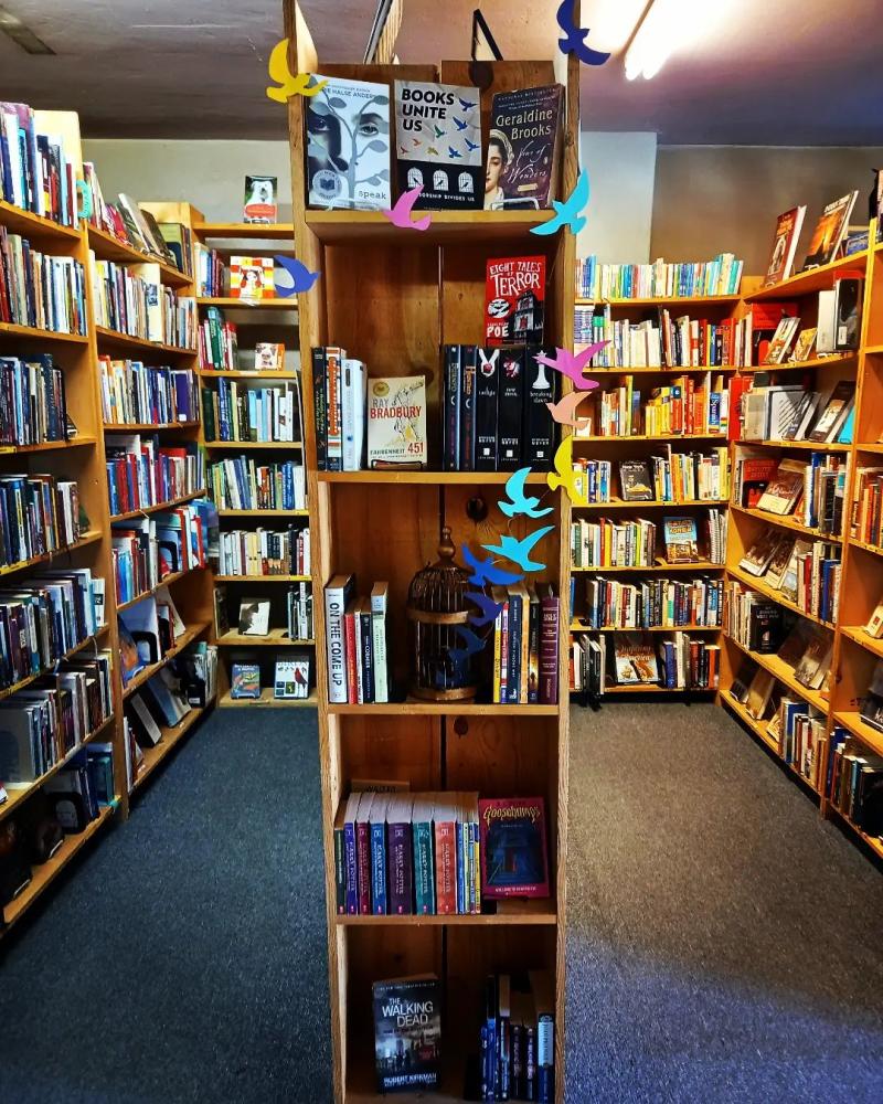 Look at some bookshelves in Title Wave Books