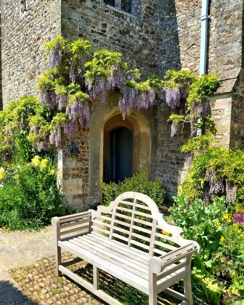 spring flowers and bench at cadhay