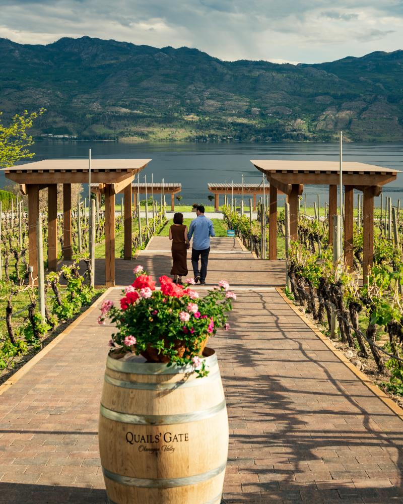 Part of Spring 2022 Westside Wine Trail Shoot