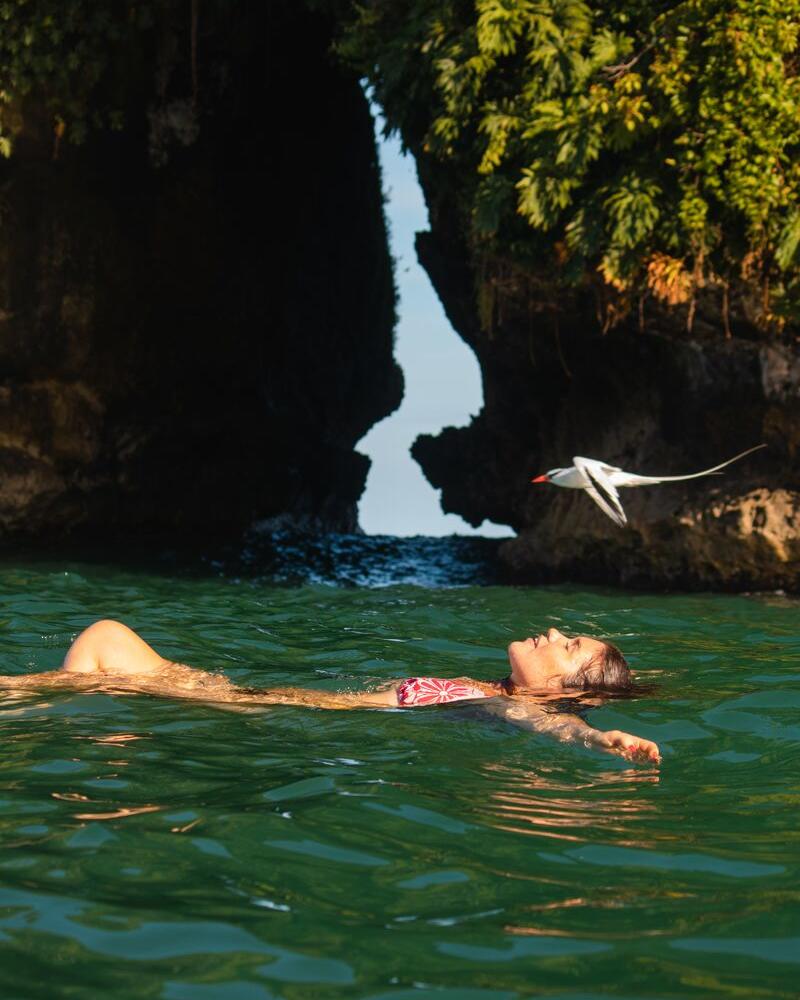 Isla Pájaro, Isla Colón, Bocas del toro