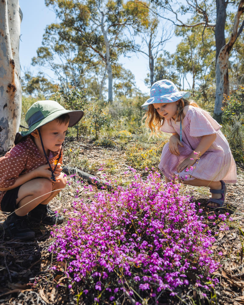 Toodyay Wongamine Nature Reserve