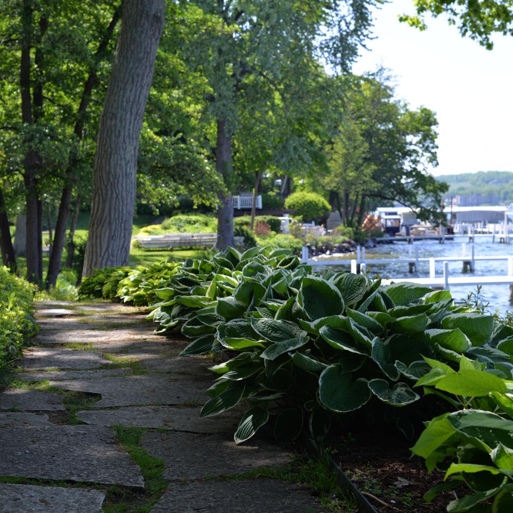 Shore Path