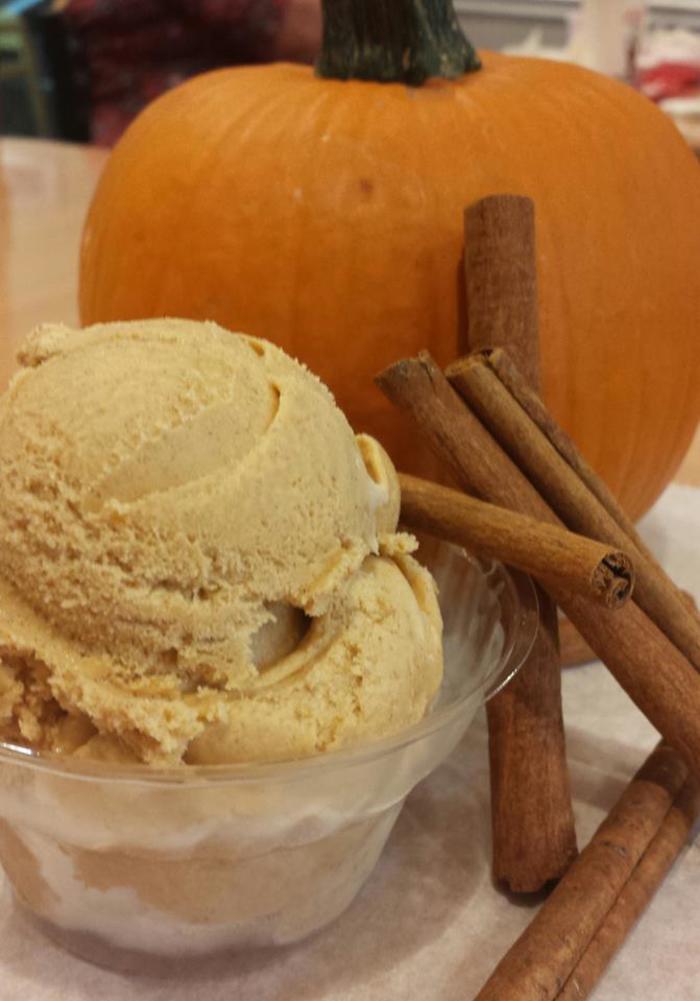 Johnsons pumpkin ice cream