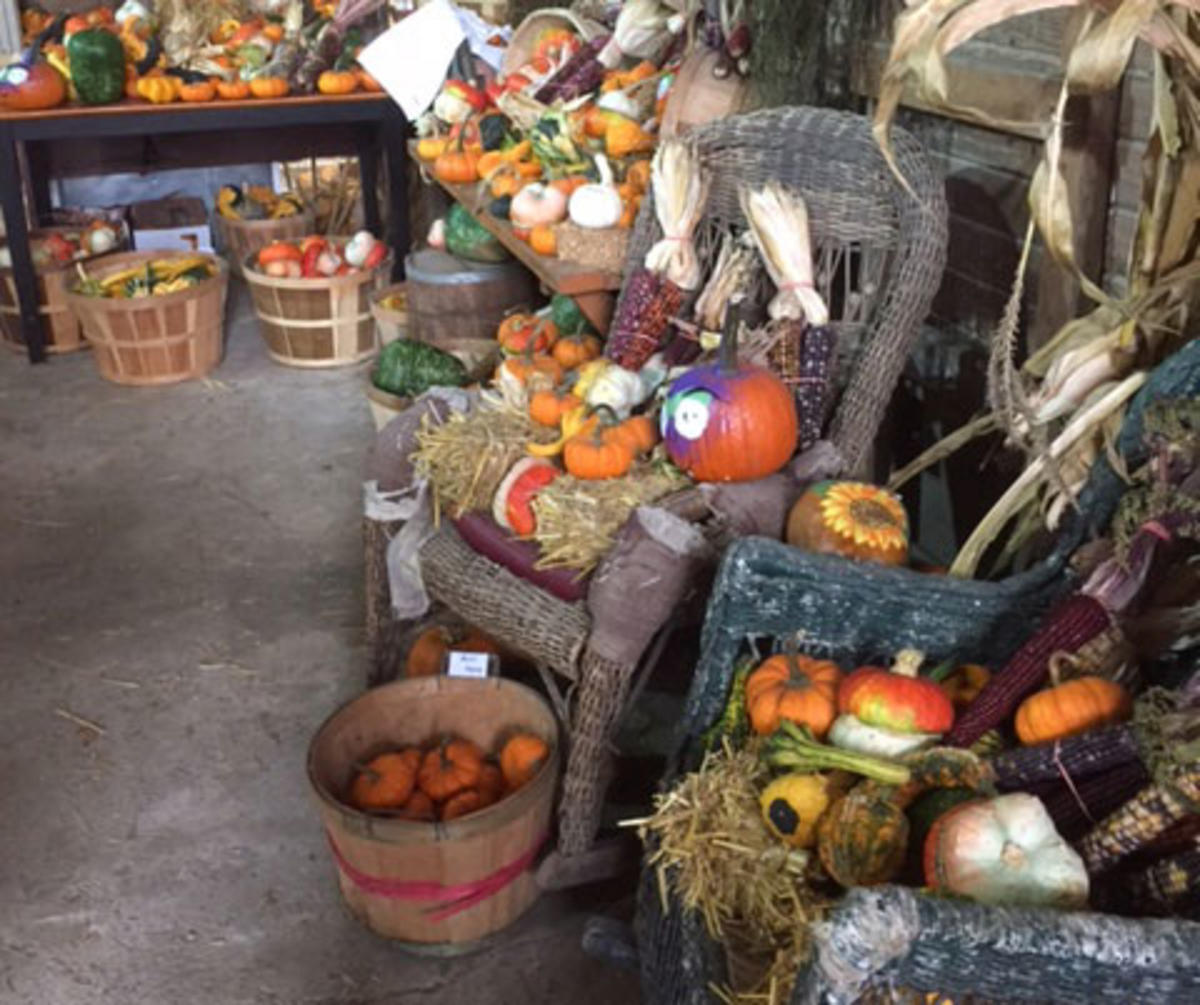 Hilger's Family Farm Interior showing wicker rocking chairs loaded down with pumpkins and corn cobs