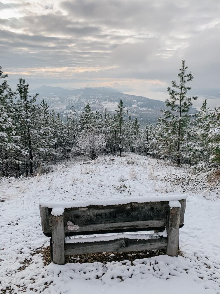 Spion Kop Winter Summit View