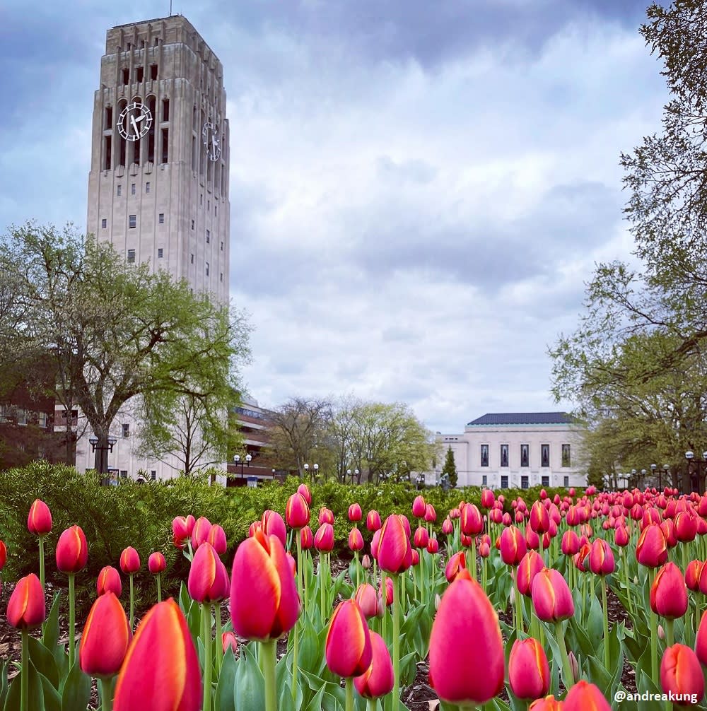 Spring in Ann Arbor