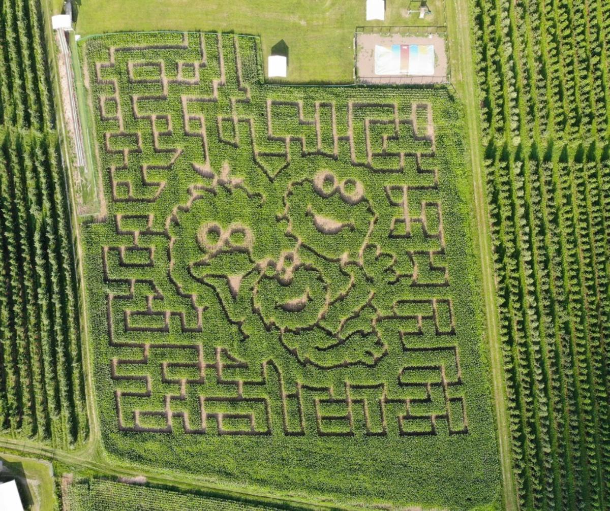 Mt. Airy Corn Maze 2025