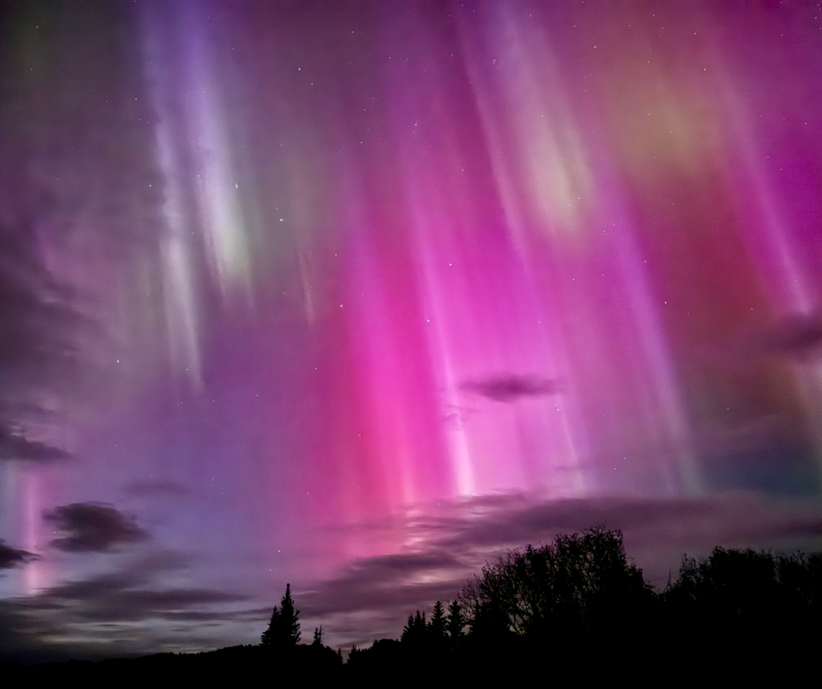 Vibrant pink, purple, and green streaks of the Northern Lights illuminate the night sky over a silhouetted forest in Homer, Alaska. The stunning aurora borealis fills the horizon, blending with the soft glow of scattered clouds.