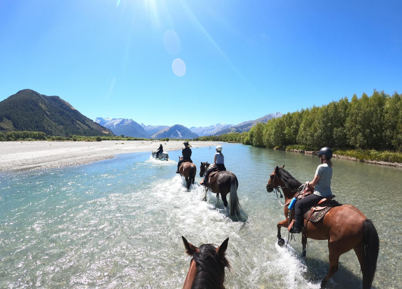 Horse riding in Glenorchy, Lighthorse Adventures