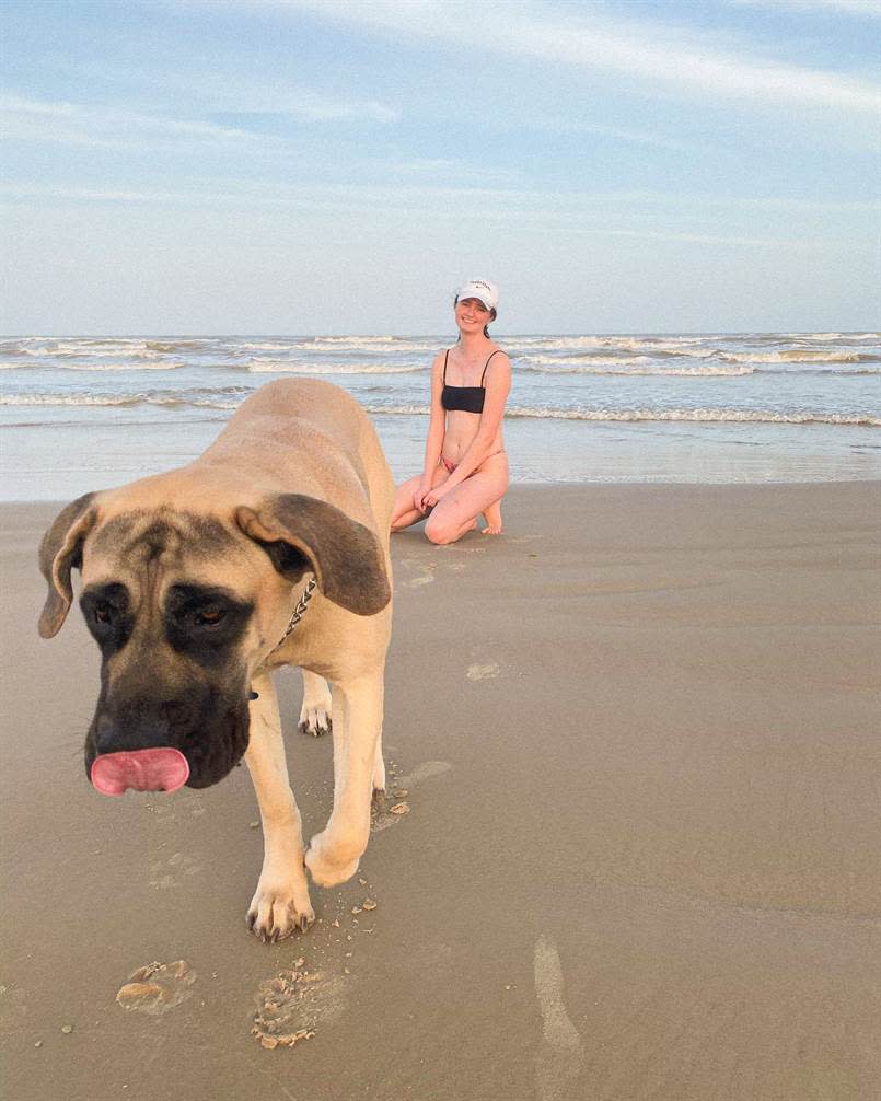 Dog on the beach @marleymeggettron