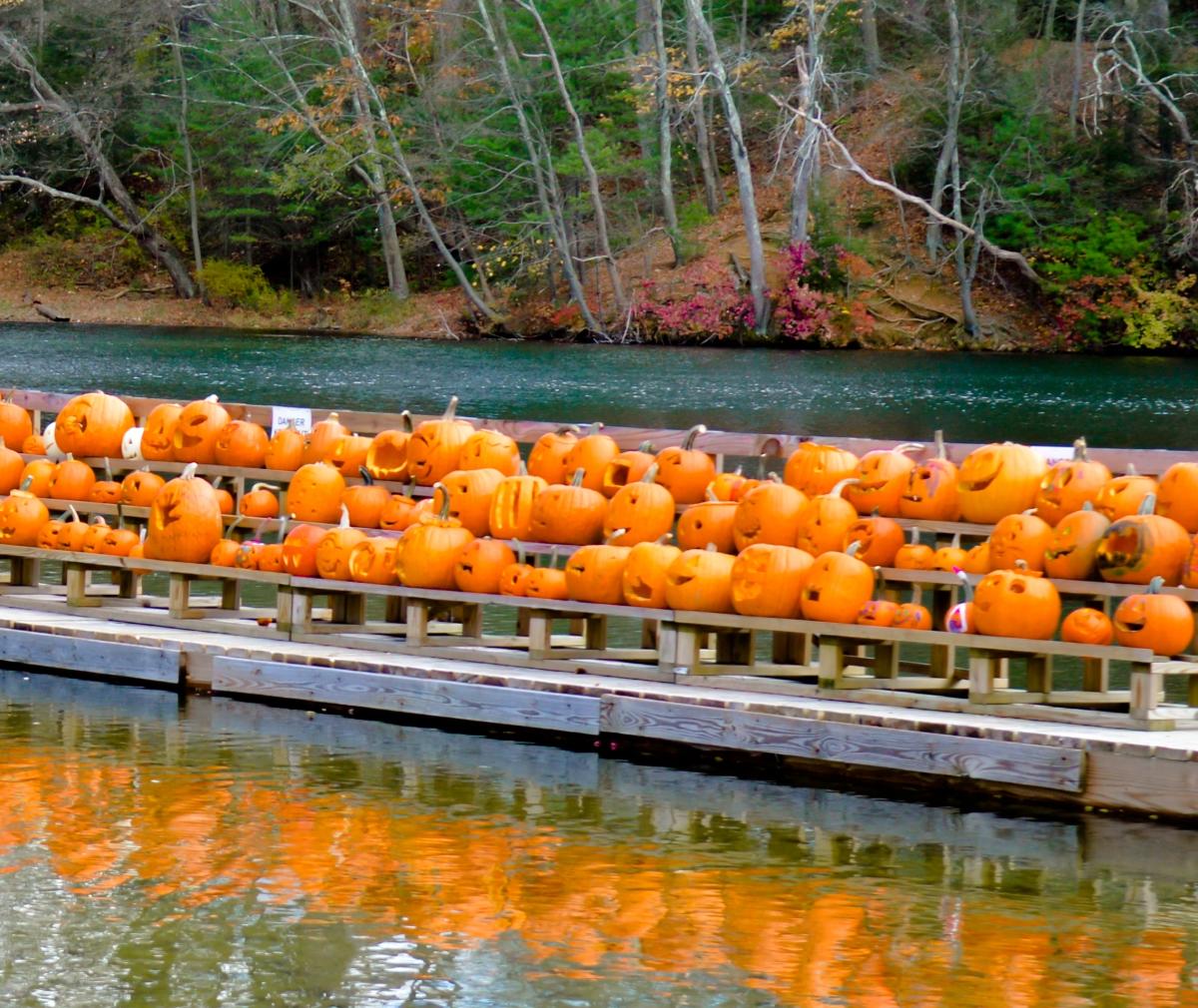 Fall Furnace Fest
