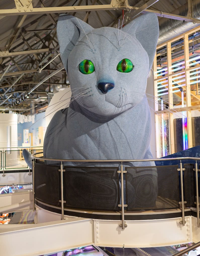 EUREKA! SCIENCE + DISCOVERY Cat