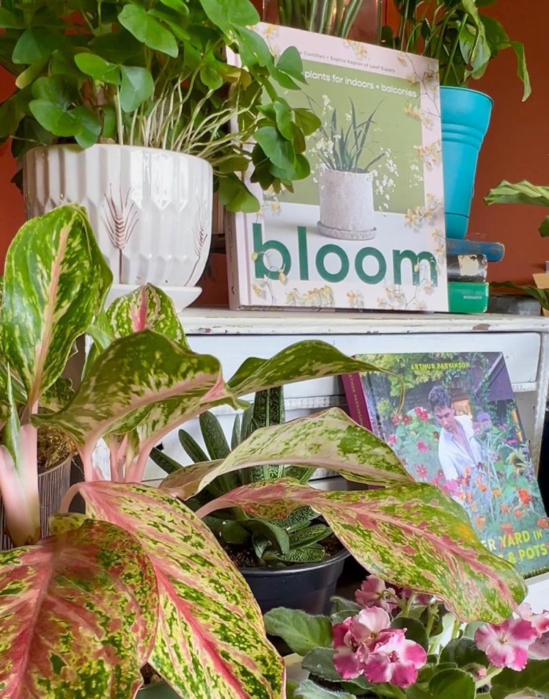 Bear's Bouquets: Granby Flower Shop Plants and Gifts