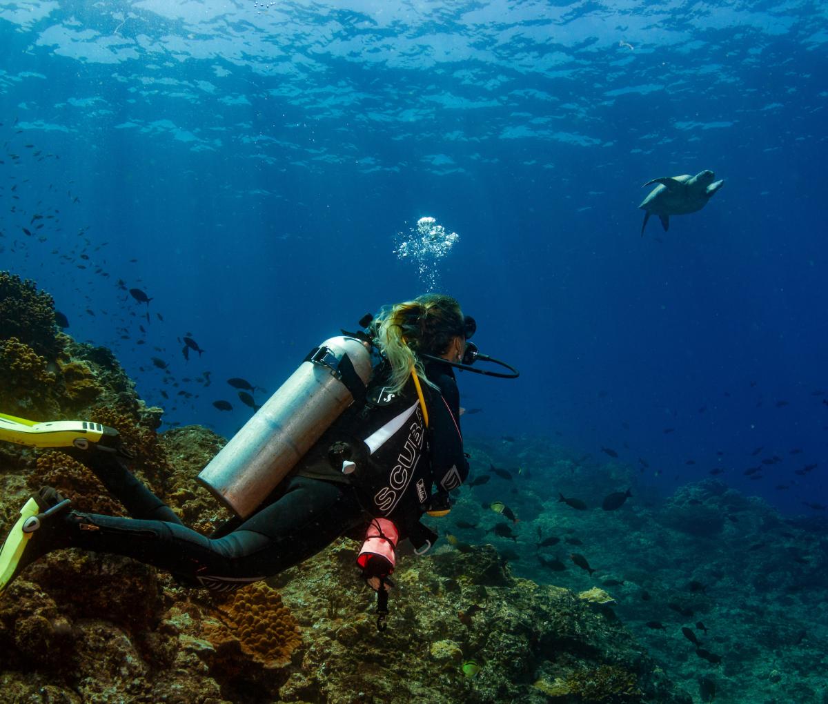 Scuba
