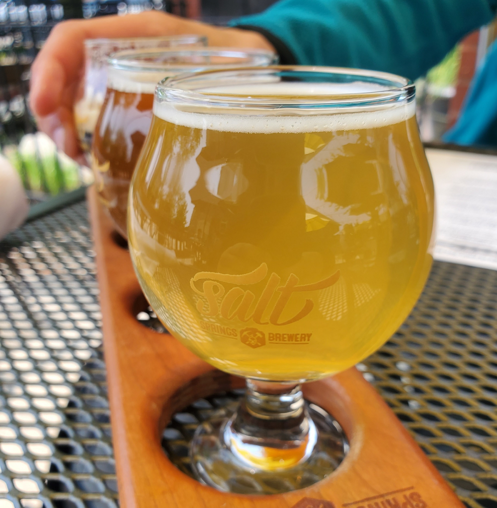 Salt Springs Brewery flight