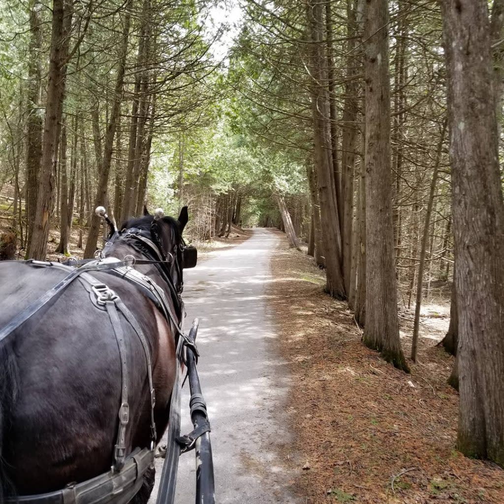 View from Horse-Drawn Carriage – Mackinac Island Tourism Bureau