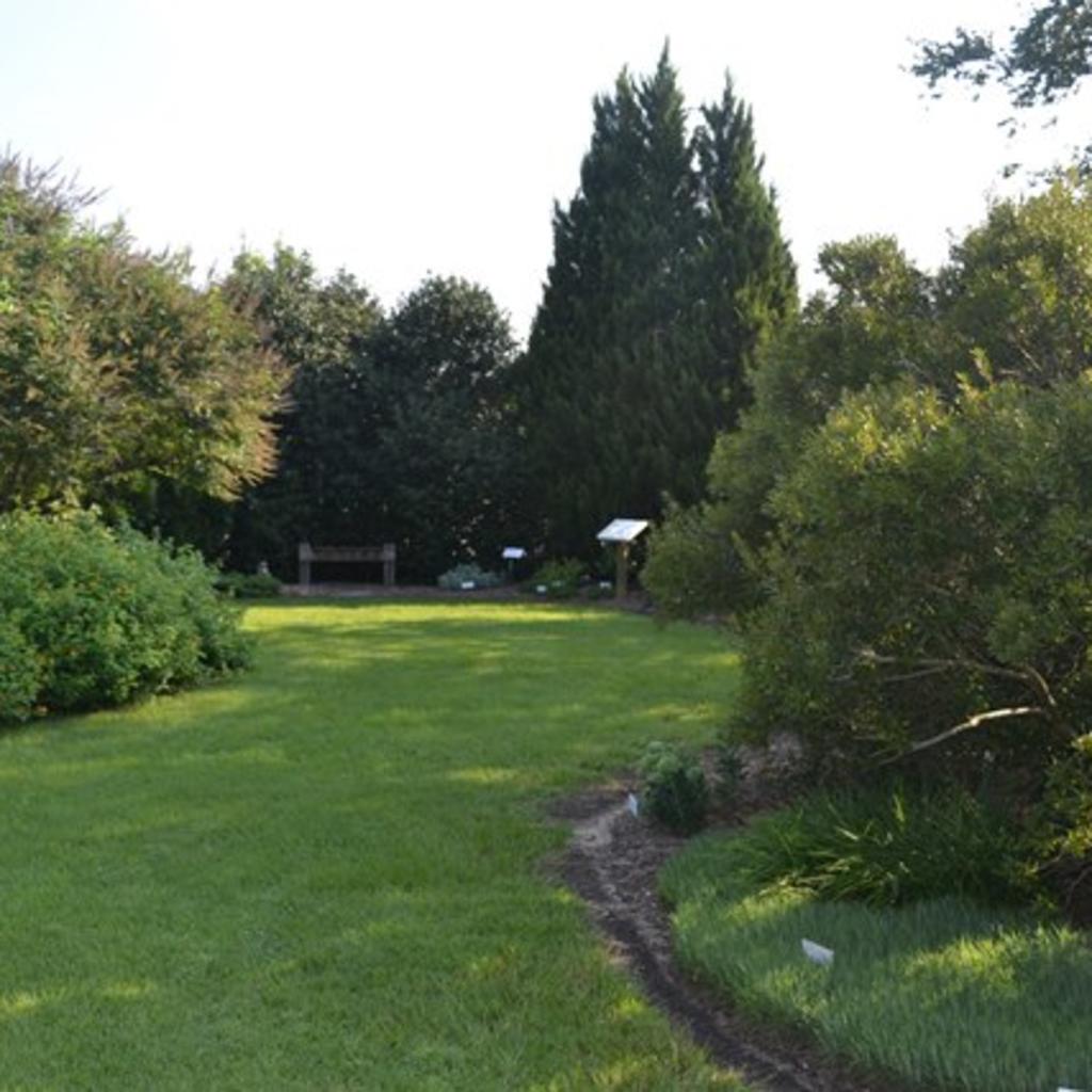 Arboretum-Web-Large.jpg