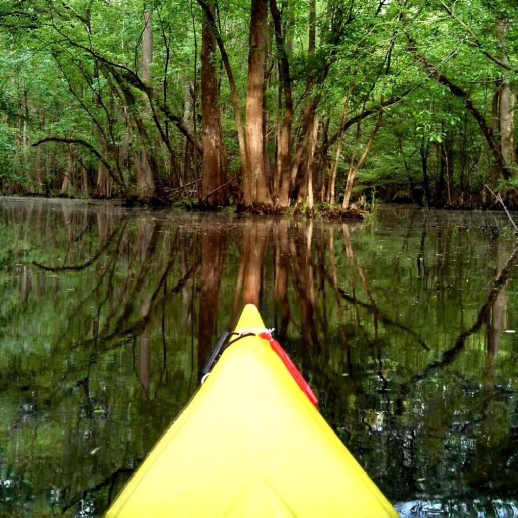 Knee-Deep-Adventure_Kayaking.jpg