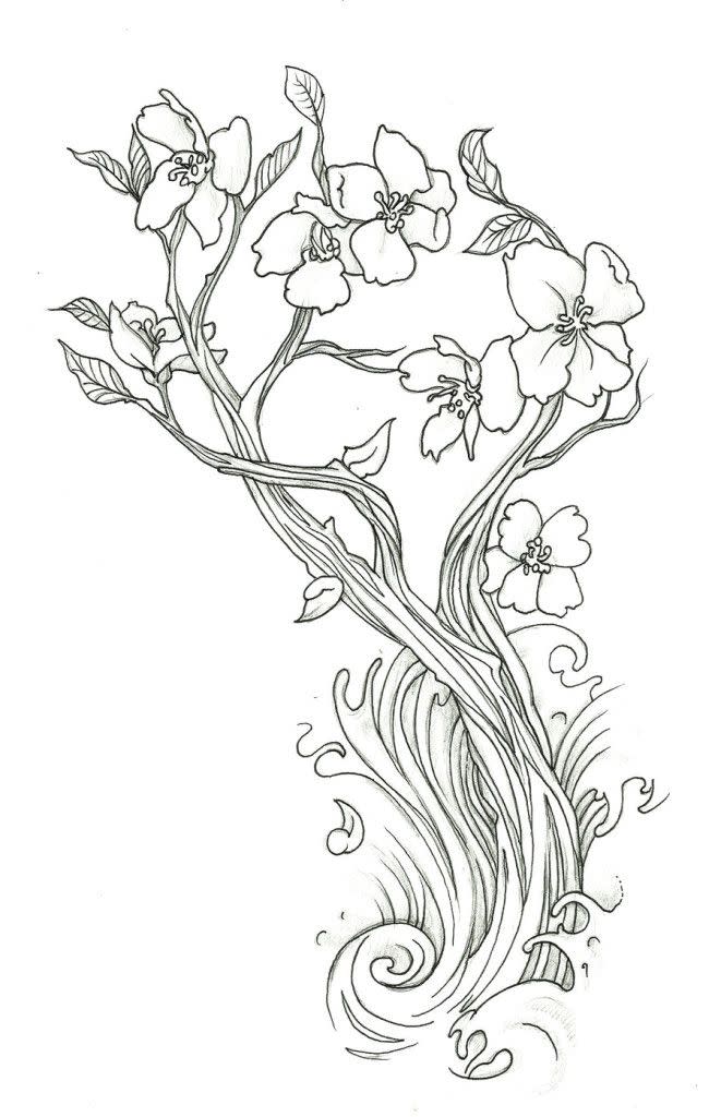 Cherry Blossom Coloring Page 5
