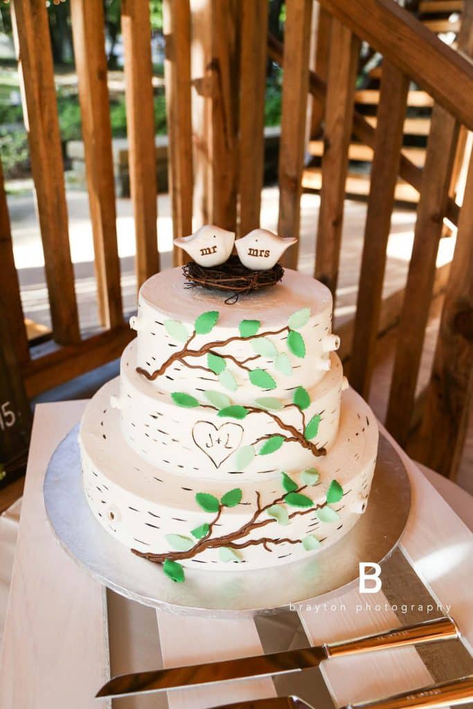 Adirondack birch tree based wedding cake