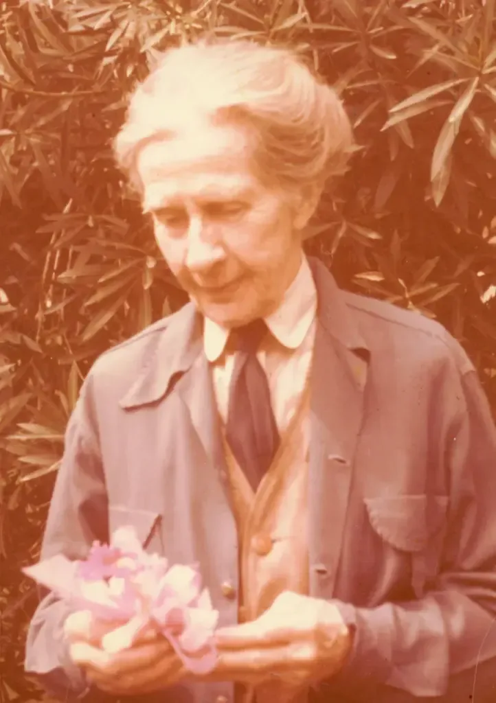 Cornelia-White