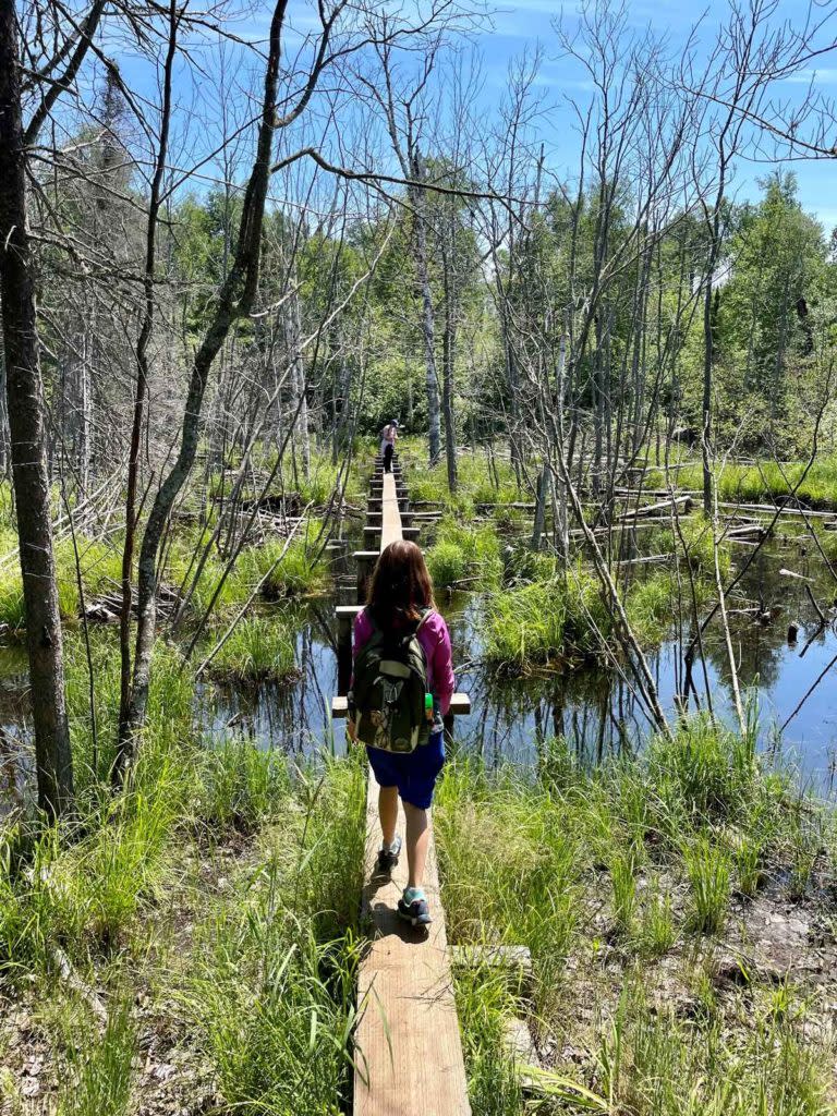 Young girl walking through marsh on Isle Royale.