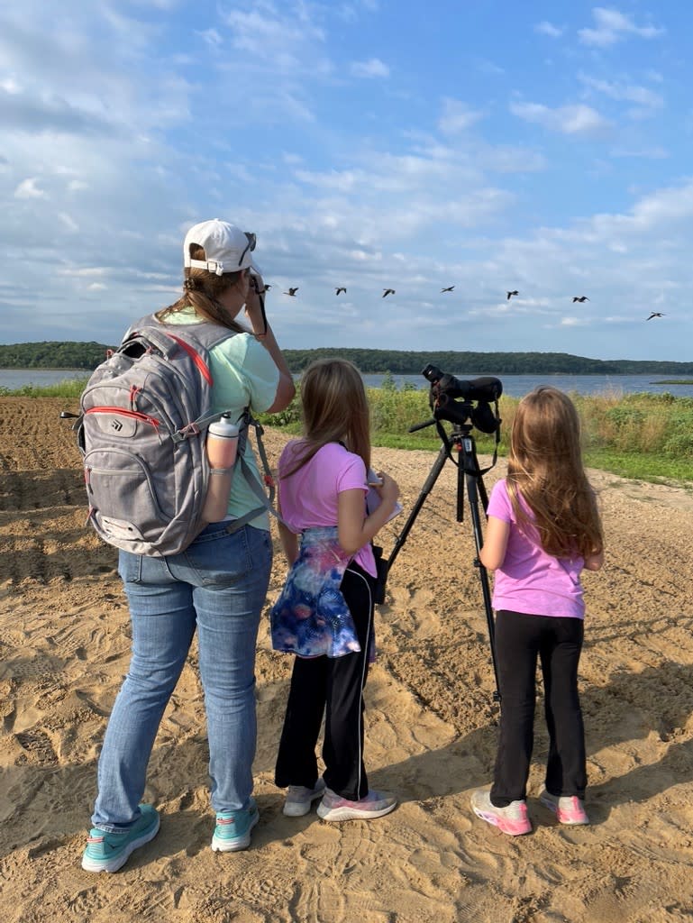 Birding at the Clinton Marina