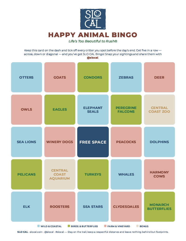 SLO CAL Animal Bingo Card
