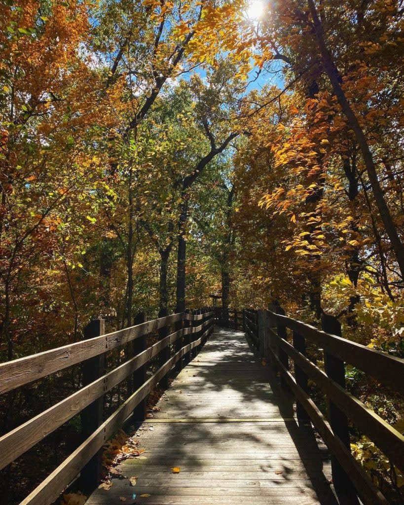 Pisgah Marsh Area and Boardwalk